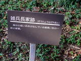 遠江 佐久城の写真