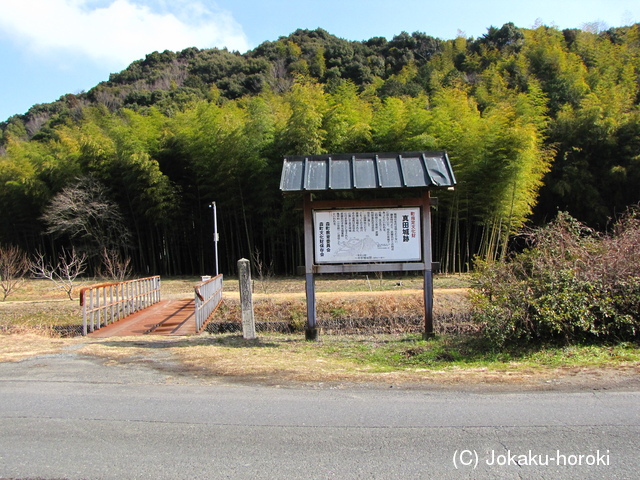 遠江 真田山城の写真