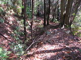 遠江 真田山城の写真