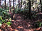 遠江 真田山城の写真