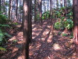 遠江 真田山城の写真