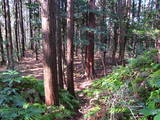 遠江 真田山城の写真