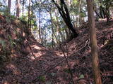 遠江 真田山城の写真