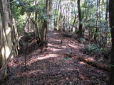 遠江 真田山城の写真