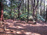 遠江 真田山城の写真