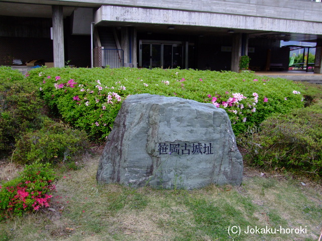 遠江 笹岡古城の写真