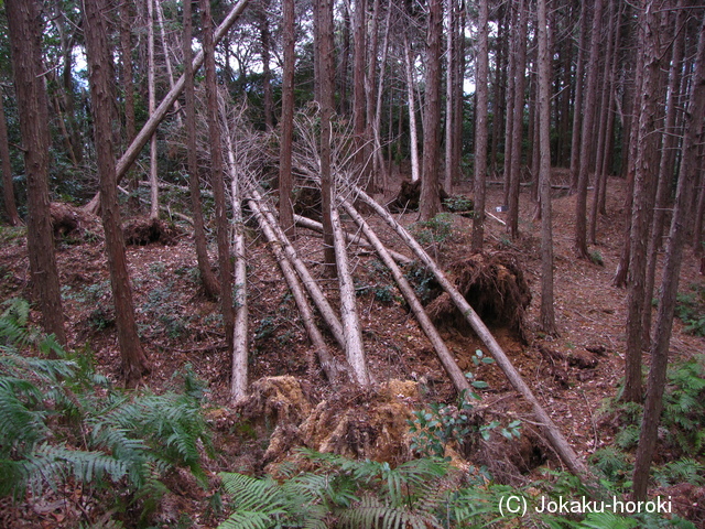 遠江 千頭峯城の写真