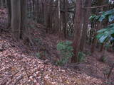 遠江 千頭峯城の写真