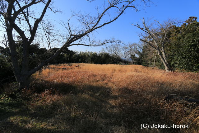 遠江 獅子ヶ鼻砦の写真
