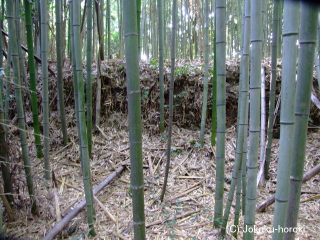 遠江 志津城の写真