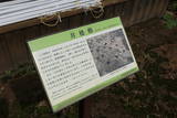 遠江 高根城の写真