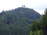 遠江 高根城の写真