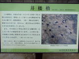遠江 高根城の写真