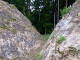 遠江 高根城の写真