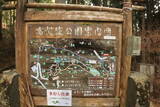 遠江 高根城の写真