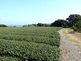 遠江 滝堺城の写真
