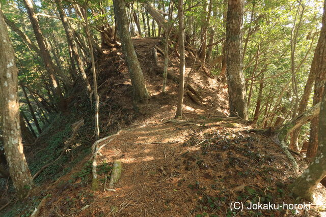 遠江 樽山城の写真