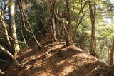 遠江 樽山城の写真