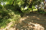 遠江 鳥羽山城の写真