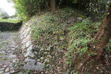 遠江 鳥羽山城の写真