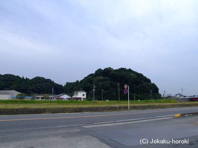 遠江 堤城の写真