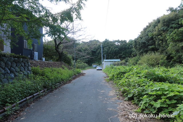 遠江 上野砦の写真