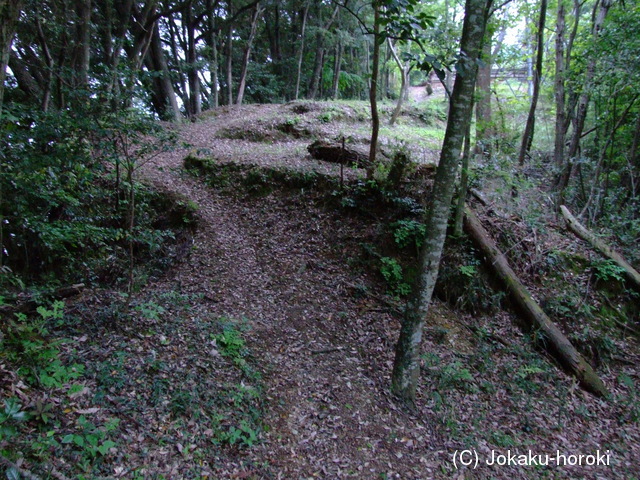 遠江 和田ヶ島砦の写真