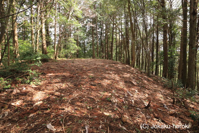 遠江 若身の城山の写真