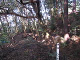 遠江 社山城の写真