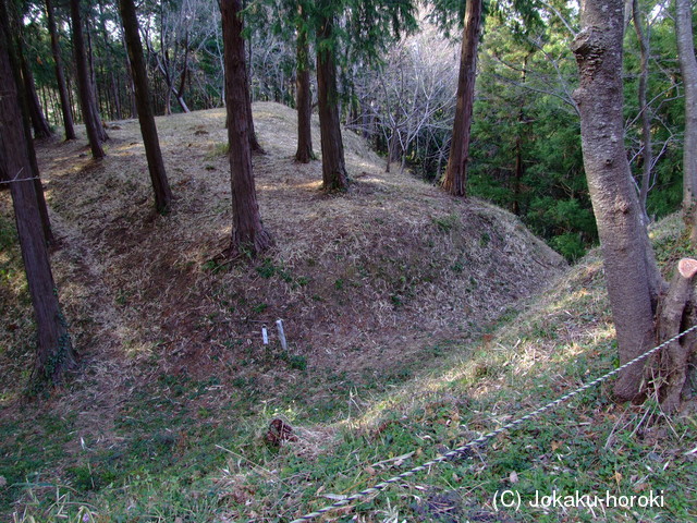 遠江 横地城の写真