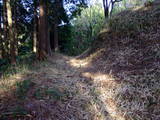 遠江 横地城の写真