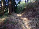 遠江 横地城の写真