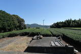遠江 横岡城の写真