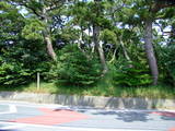 遠江 米津台場の写真