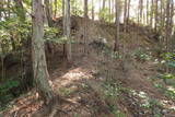 土佐 尼ヶ森城の写真