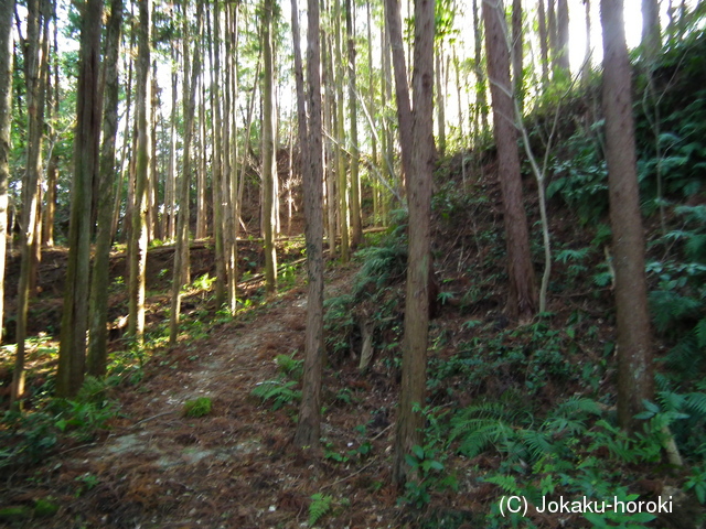 土佐 安楽寺山城の写真