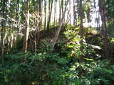 土佐 安楽寺山城の写真