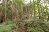 土佐 青木城の写真