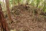 土佐 青木城の写真