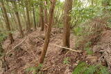 土佐 青木城の写真