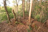 土佐 有岡城の写真