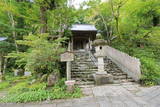 土佐 粟井城の写真