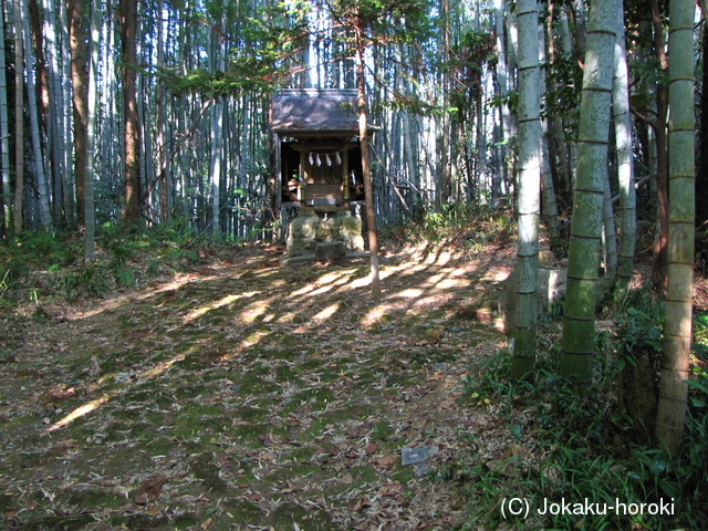 土佐 八幡宮西ノ城の写真