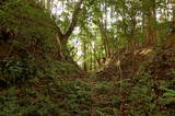 平野城(日高村)写真