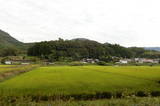 土佐 平野城(日高村)の写真