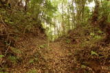 土佐 平野城(日高村)の写真