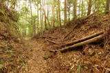 土佐 平野城(日高村)の写真