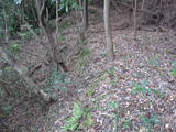 土佐 岡城の写真