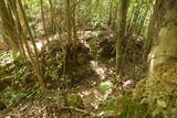 土佐 市野々城の写真