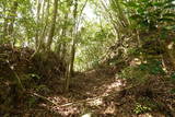 土佐 市野々城の写真